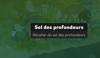 Gisement de sel